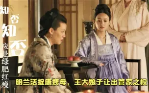 下载视频: 明兰活捉康姨母，王大娘子让出管家之权，嫡母对庶女无言以对了