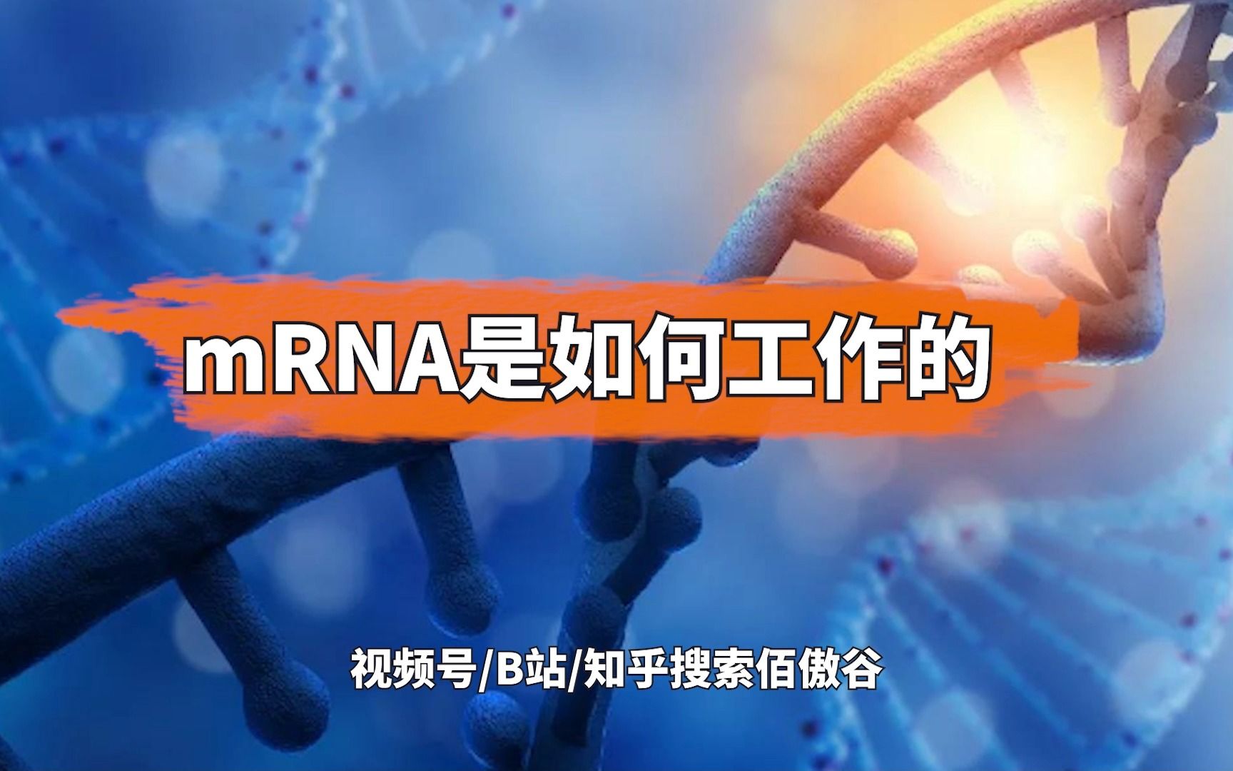 【科普】mRNA是如何工作的哔哩哔哩bilibili