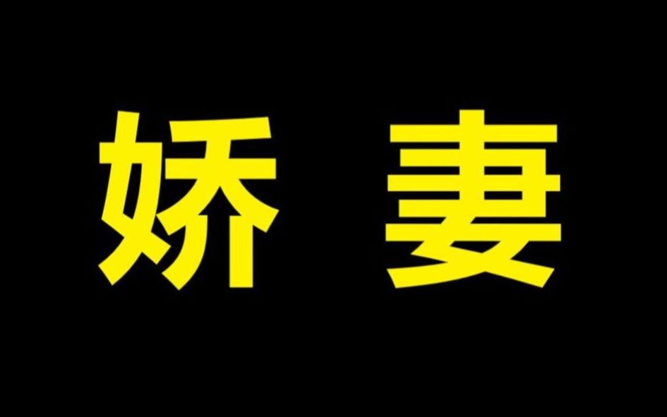 起点娇妻VS晋江娇妻VS海棠娇妻哔哩哔哩bilibili