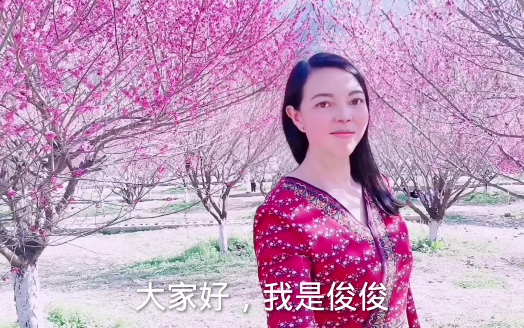 映日桃花别样红,山水风光引人醉,歌曲:《桃花飘》哔哩哔哩bilibili