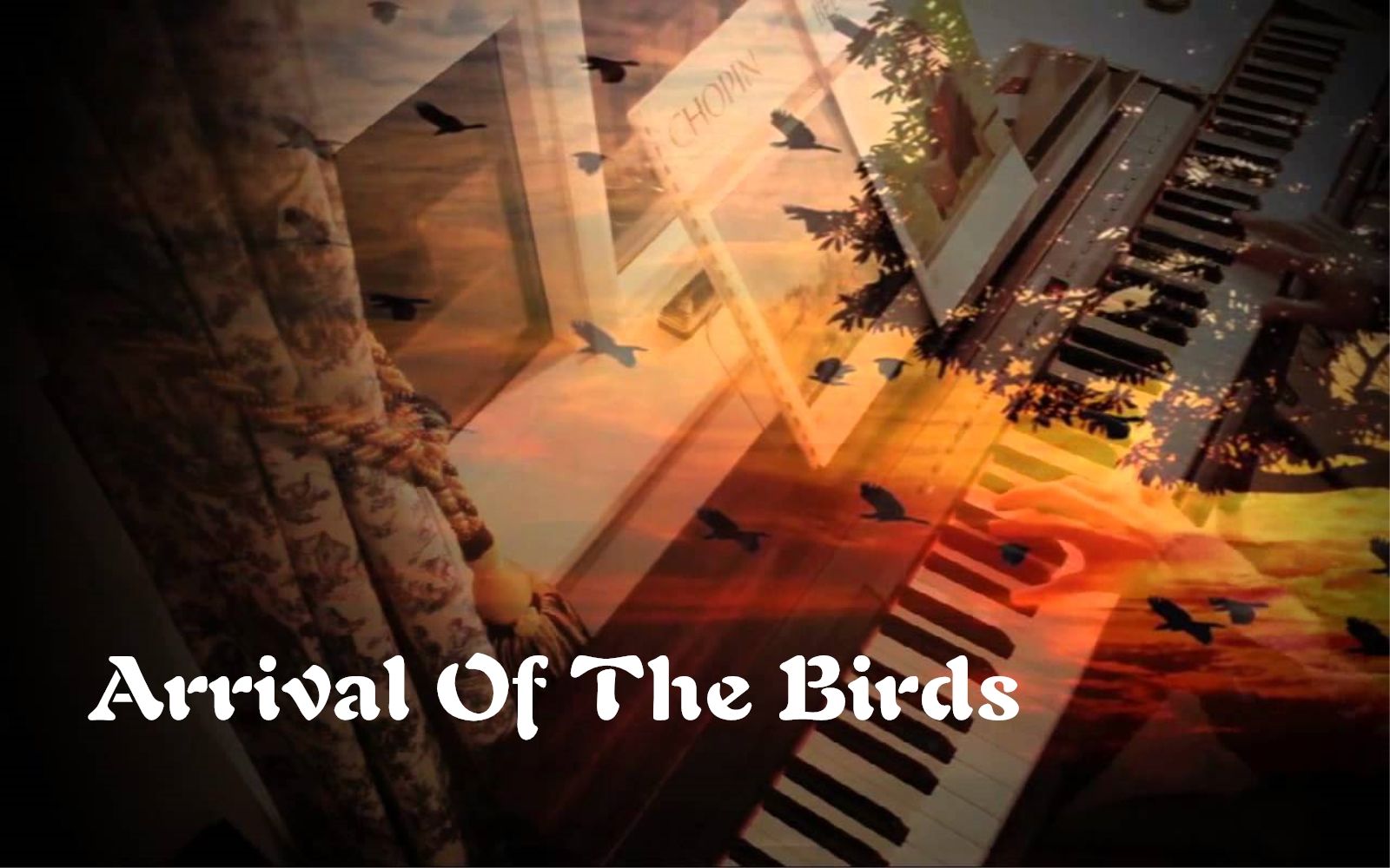 【钢琴】arrival of birds *万物理论*钢琴 扒谱 万物理论配乐