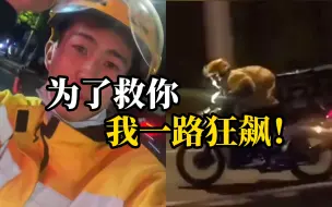 Tải video: 顾客被蛇咬请求加急送药，外卖员一路狂飙，热血鼓励！