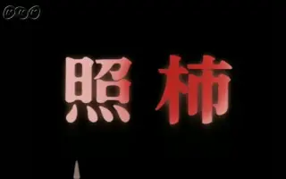 野口一男 搜索结果 哔哩哔哩 Bilibili