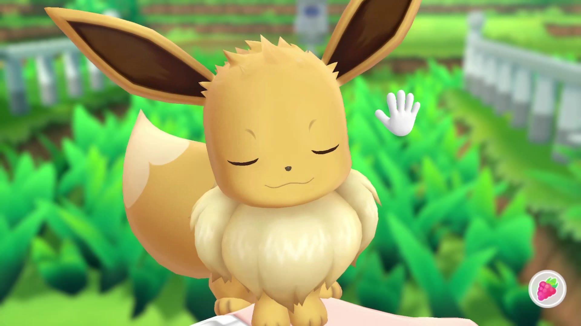 沉迷与伊布互动不能自拔,蠢萌傲娇的伊布太可爱了!