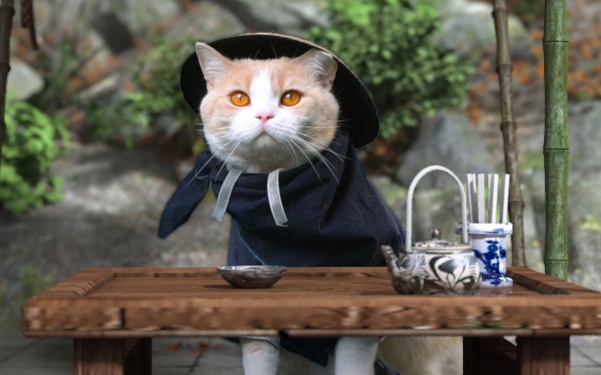 江湖喵喵: 喵小仙分湖,绝育后方可一统喵林.