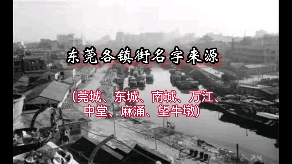 莞城、东城、南城、万江、中堂、麻涌、望牛墩,这些镇的名字是怎么来的?哔哩哔哩bilibili