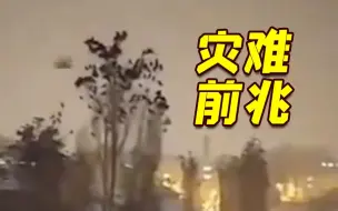 Télécharger la video: 土耳其强震发生前 网友拍下大量鸟类密密麻麻聚集枝头诡异景象