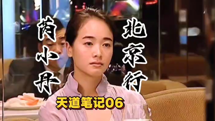 《天道》笔记06:芮小丹进京拜访韩楚风的隐藏细节?