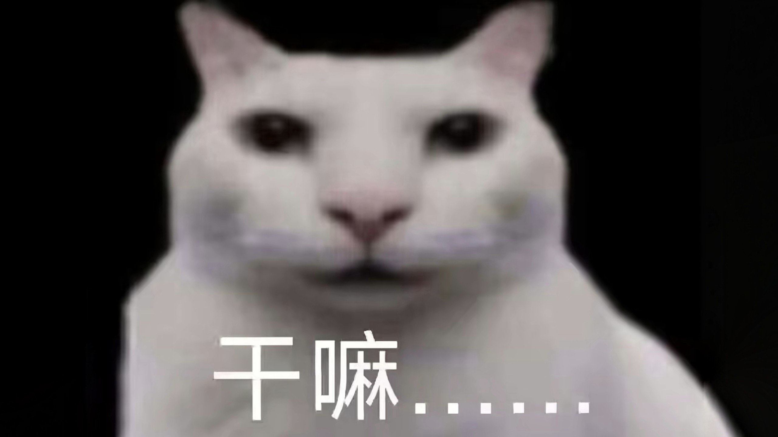 😾干嘛...😾