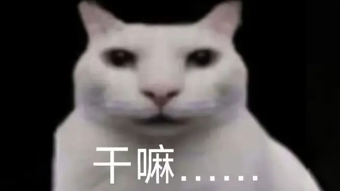 😾干嘛...😾