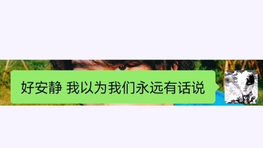 [图]“好安静 我以为我们永远有话说”