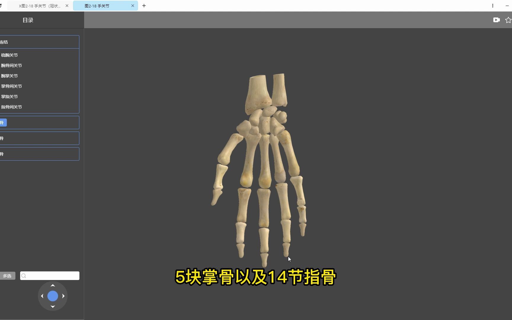 【医维度解剖app】手关节哔哩哔哩bilibili