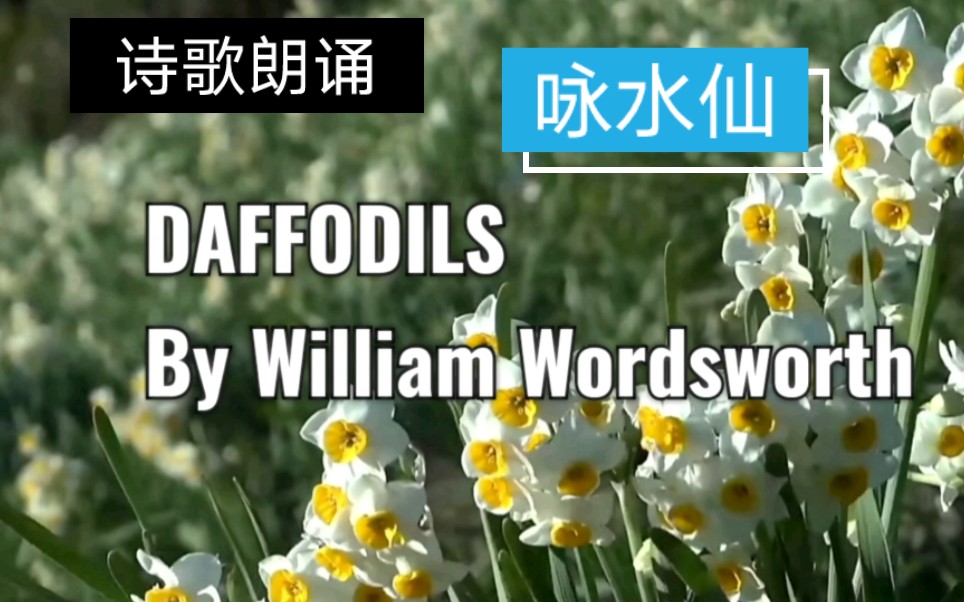 【诗歌朗诵】《咏水仙》Daffodils by William Wordsworth 没错,此诗作者就是考研英语二的翻译题—威廉•华兹华斯哔哩哔哩bilibili