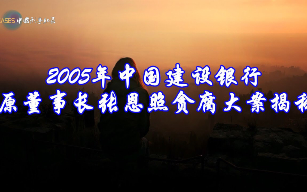 前仆后继 2005年中国建设银行原董事长张恩照贪腐大案揭秘哔哩哔哩bilibili