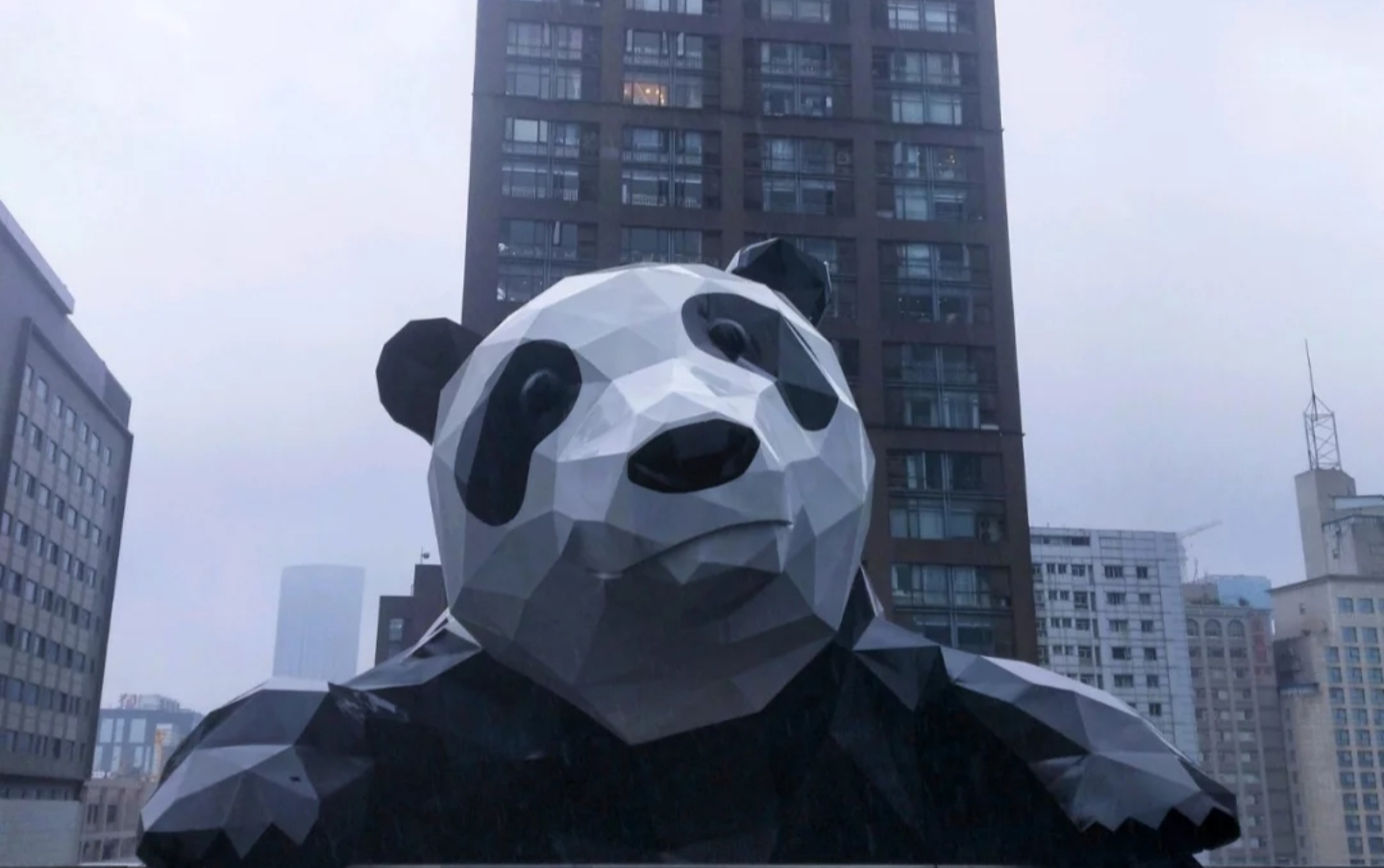 第一视角生活旅行记录2成都爬墙熊猫