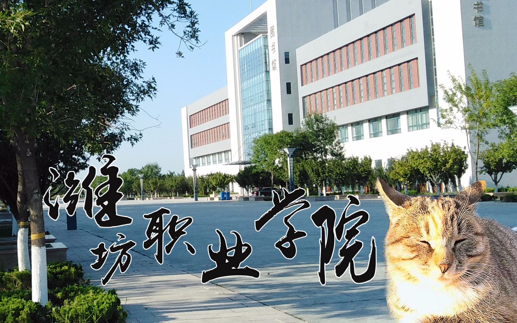 【潍坊职业学院滨海校区】【年份日常】yeah 你喜欢这个学校吗