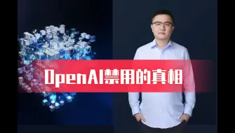 Video herunterladen: OpenAI禁用的真相