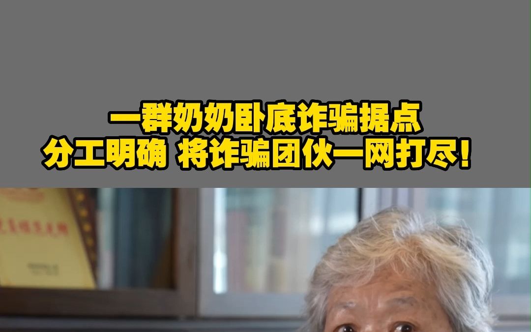 一群奶奶卧底诈骗据点 分工明确 将诈骗团伙一网打尽!哔哩哔哩bilibili