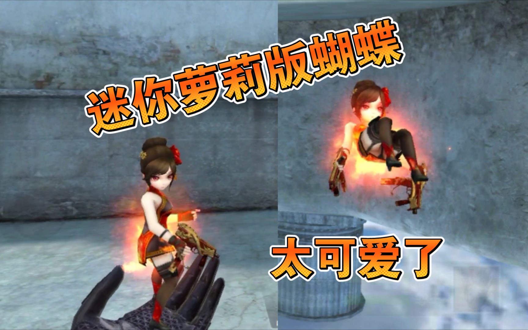 迷你萝莉版蝴蝶太可爱了,斯太尔蝴蝶展示!