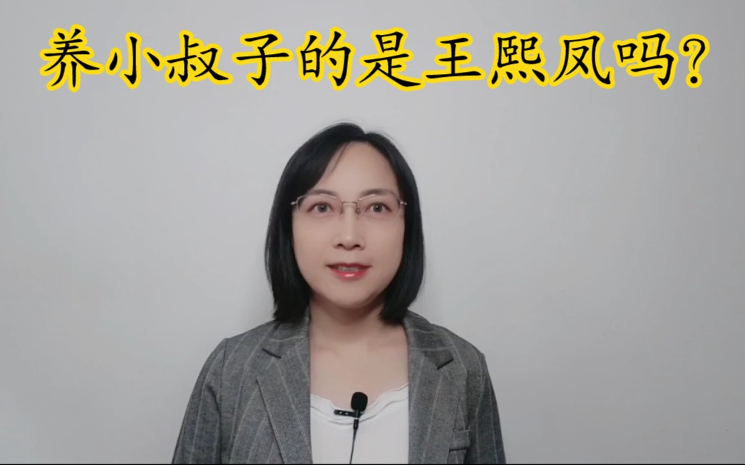 焦大说:养小叔子的养小叔子,养小叔子的是王熙凤吗?哔哩哔哩bilibili