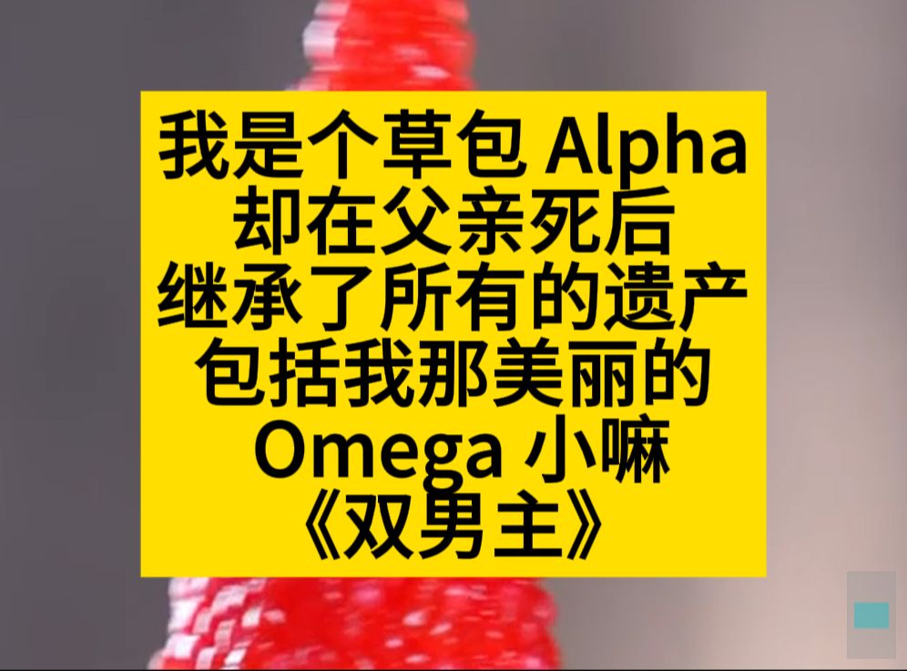 原耽推文 我是个草包alpha,继承了我那美丽的omega小嘛哔哩哔哩bilibili