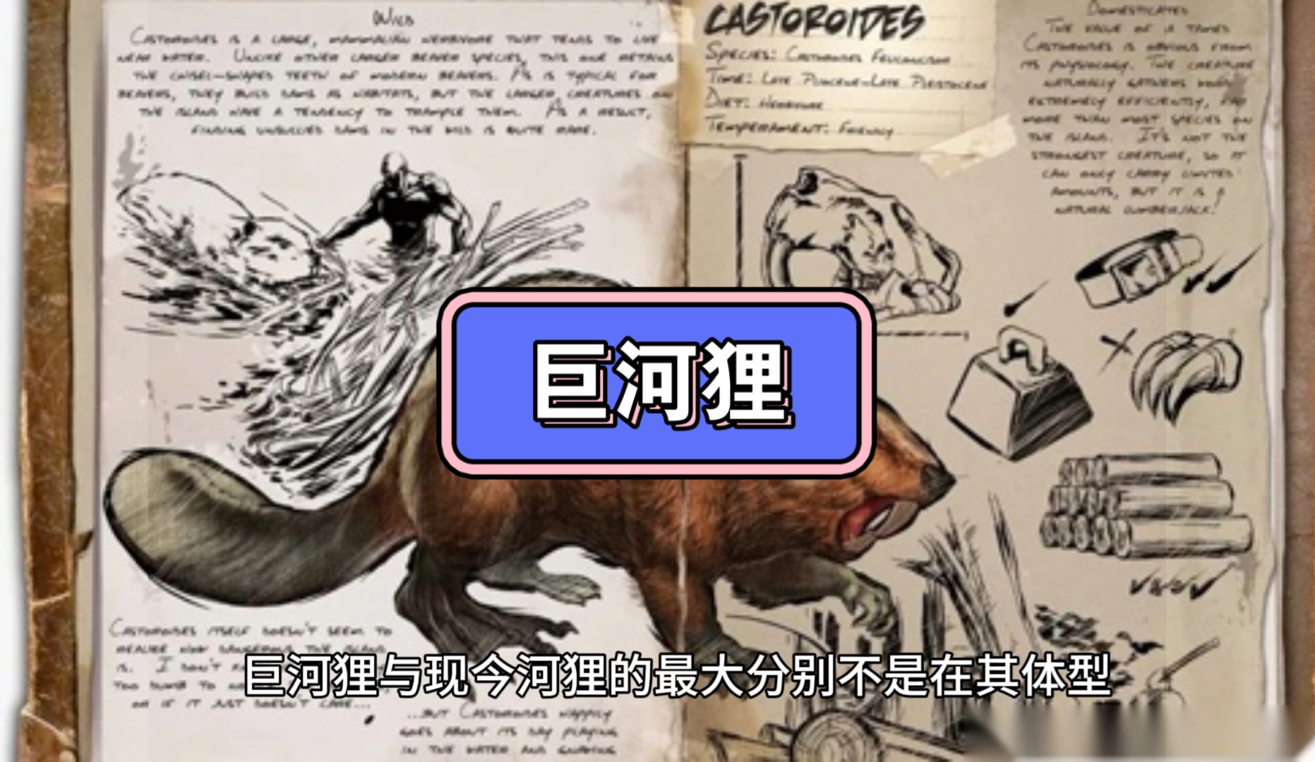 全新世北美灭绝动物之详析:巨河狸