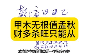 Скачать видео: 甲木无根值孟秋,财多杀旺只能从