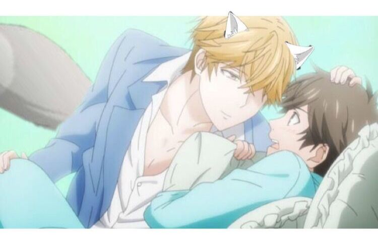 独占我的英雄狐狸精闺蜜组大柴健介x势多川正广支仓喜当狐狸精x