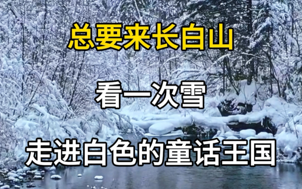 总要来一次长白山,看一场雪,走进白色的童话王国,体验极致的浪漫北国风光.#旅行推荐官 #旅行大玩家 #旅游攻略 #冬季赏雪好去处 #赴一场长白山之约...