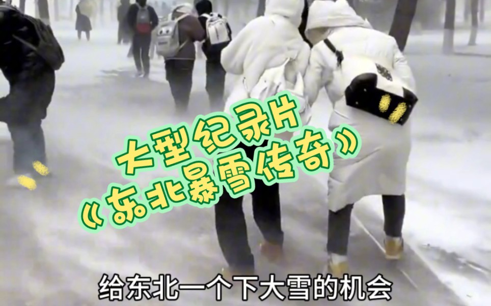 [图]大型纪录片《东北暴雪传奇》