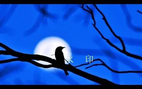 [图]冯志《南方的夜》董卿版朗诵背景视频