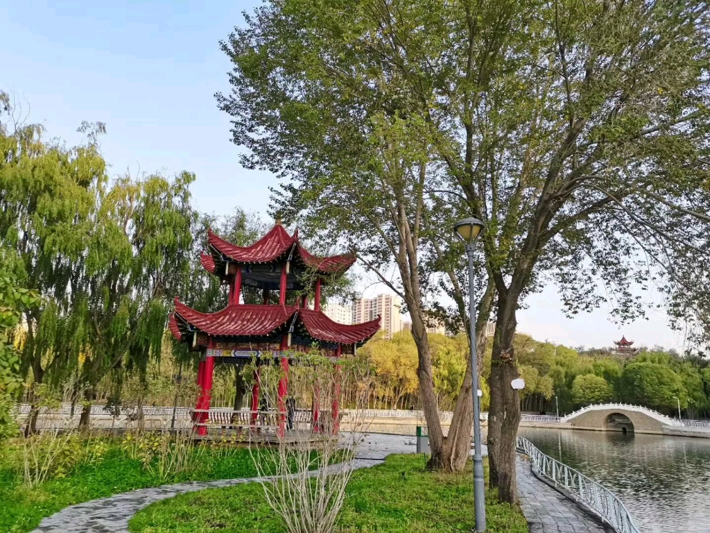 新疆大学校园美景