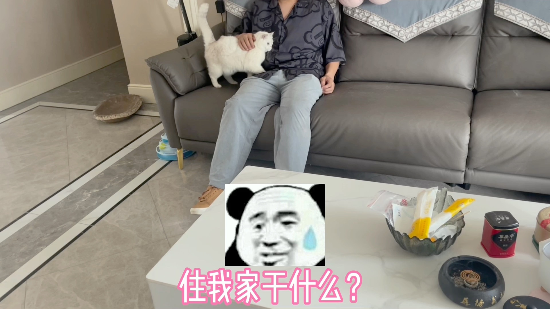 有“爱”的家庭哔哩哔哩bilibili