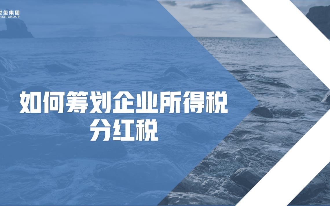 企业合法节税新出路如何筹划企业所得税、分红税哔哩哔哩bilibili