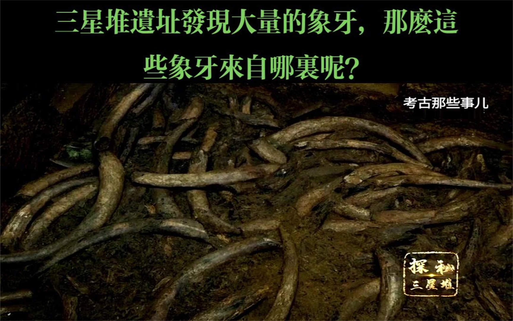 三星堆遗址发现大量的象牙,那么这些象牙来自哪里呢?哔哩哔哩bilibili