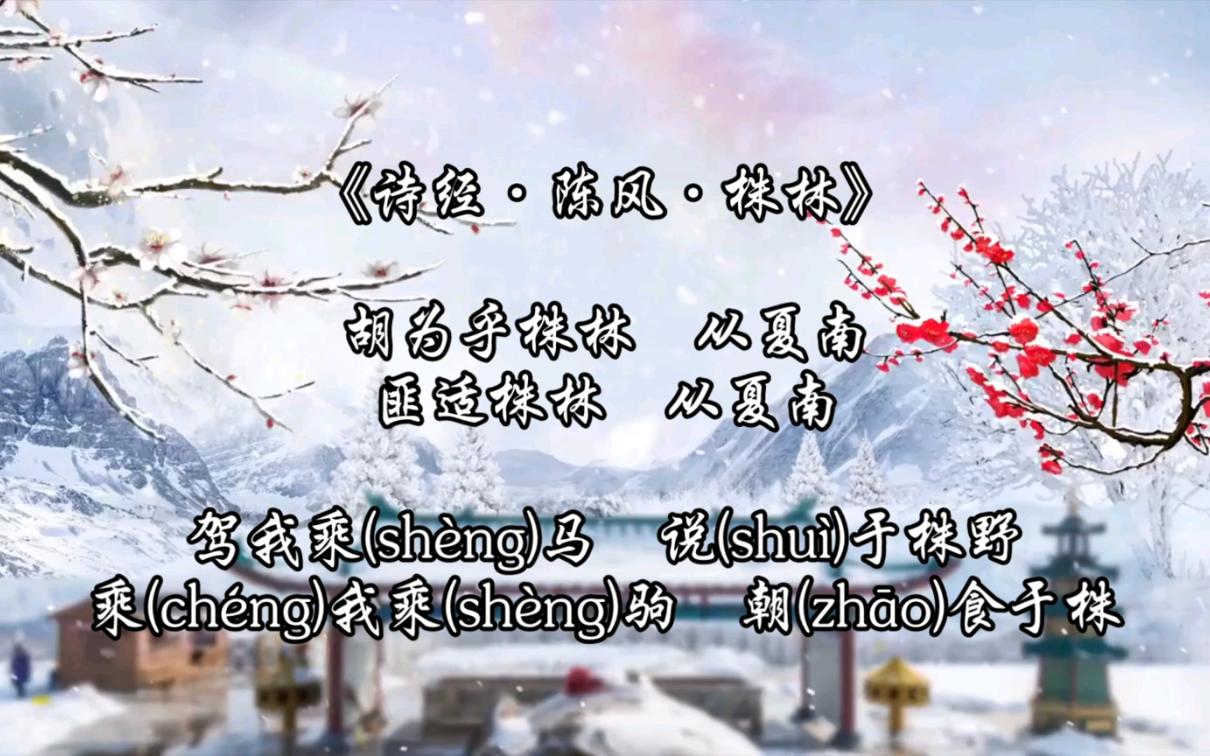 每日一诗|《诗经·陈风·株林》