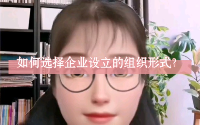 如何选择企业设立的组织形式?哔哩哔哩bilibili