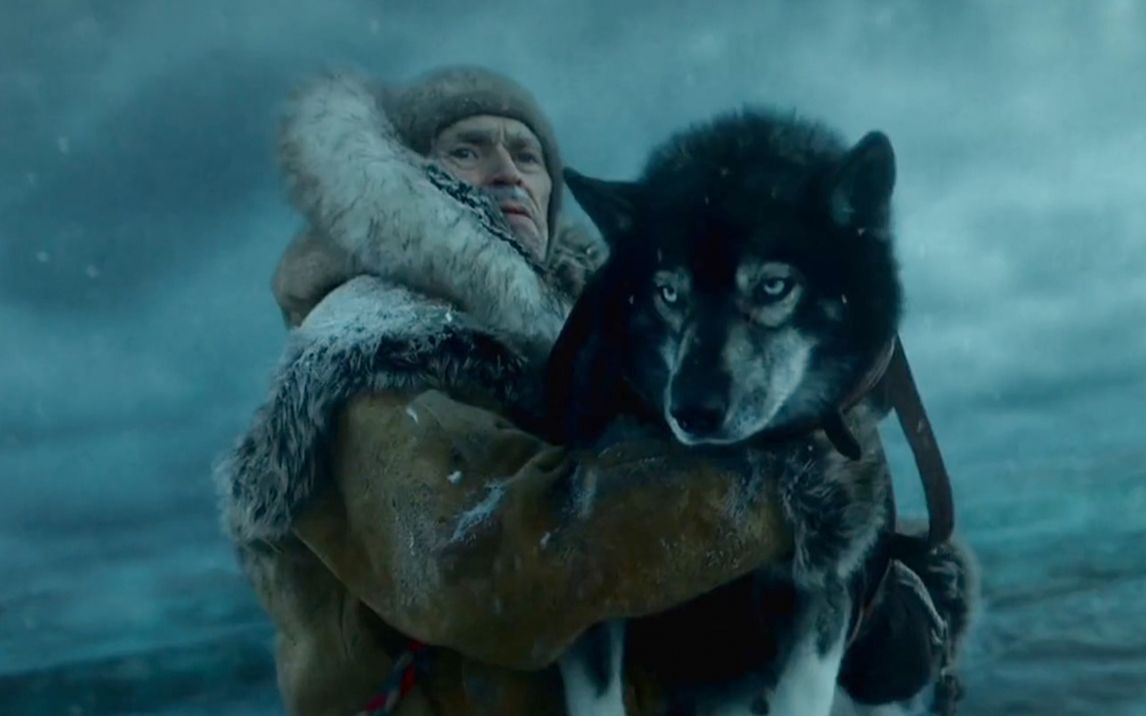 豆瓣88分狗狗电影二哈5天跑4000里只为送疫苗到疫区到了才发现腿断了