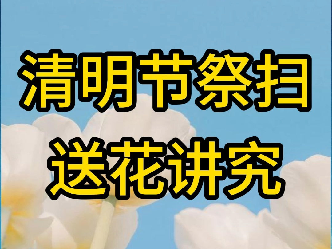 清明节祭扫送花讲究哔哩哔哩bilibili