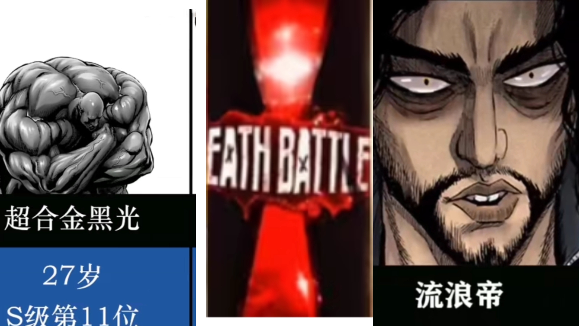 【生死决斗】超合金黑光vs流浪帝