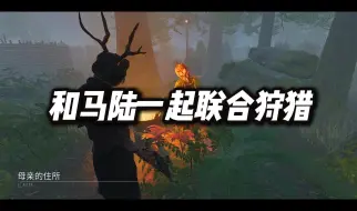 Descargar video: 和马陆一起2v8联合狩猎,护士+兔子组合到底有多强？