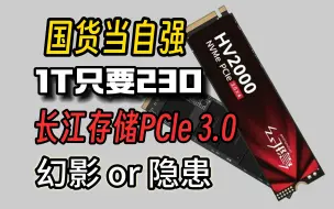 下载视频: 1T只要200多的固态你敢买么，国产固态卷起来了，幻隐真不是隐患么？