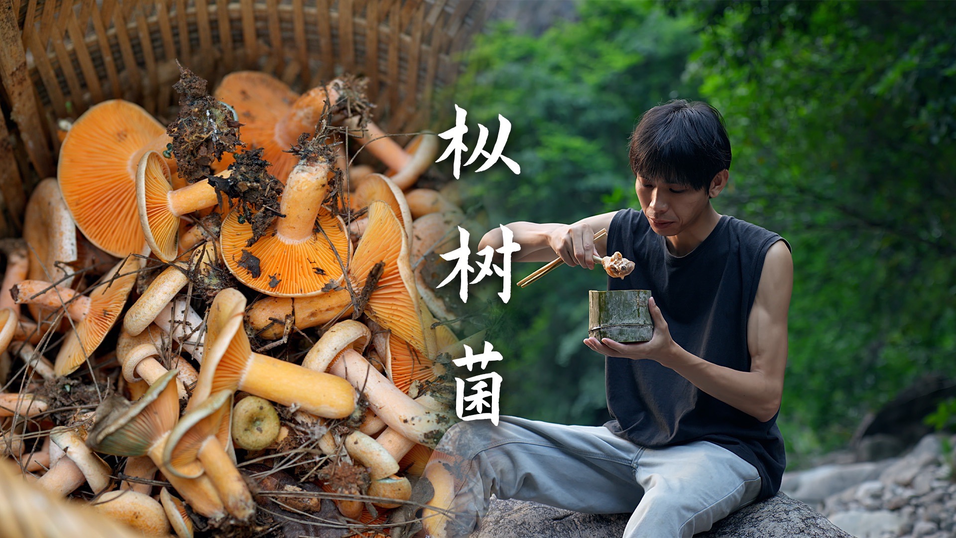 又到了捡菌子的季节啦，枞树菌鸡汤太美味了！-板栗茶籽-板栗茶籽-哔哩哔哩视频
