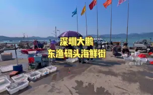 Download Video: 深圳大鹏东渔码头，在东山码头旁边