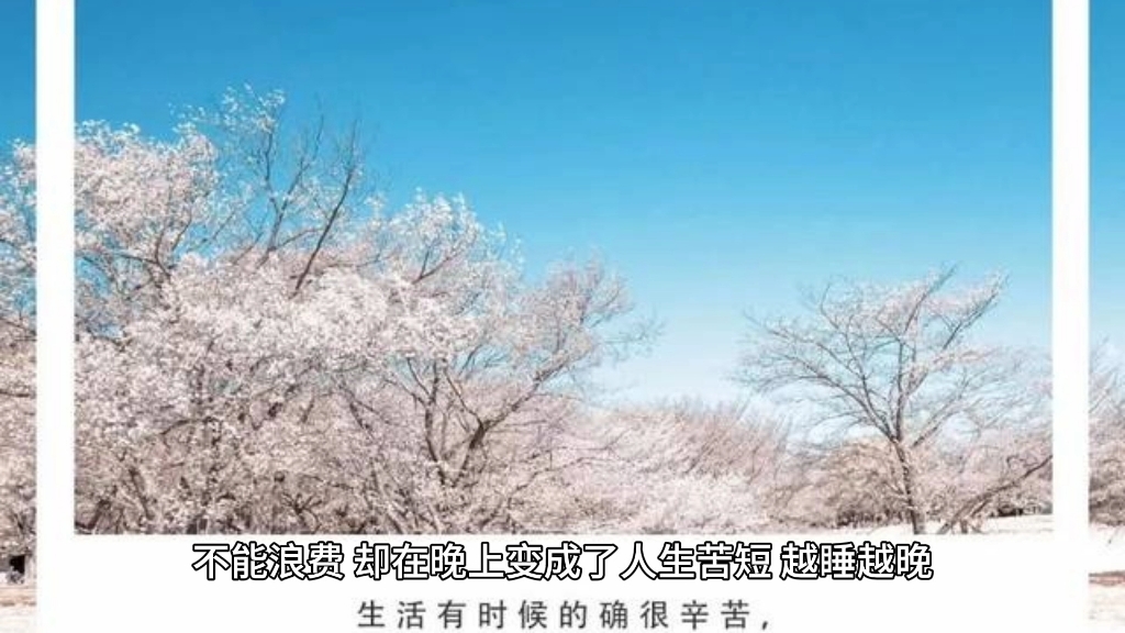 现代年轻人的特点哔哩哔哩bilibili