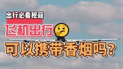 飞机上可以携带香烟吗?哔哩哔哩bilibili