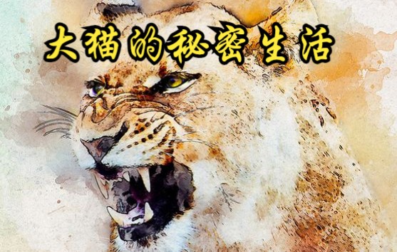 [图]【美国】【纪录片】大猫的秘密生活 The secret life of big cats