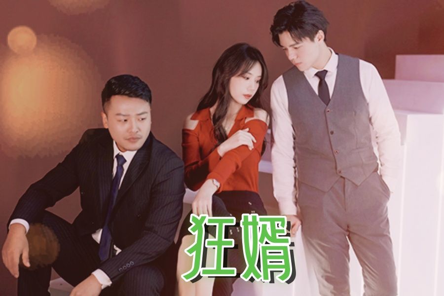 《狂婿》第1集哔哩哔哩bilibili