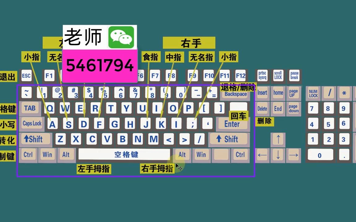 零基礎電腦知識,掌握鍵盤標準指法,打字速度和準確率都可以提高