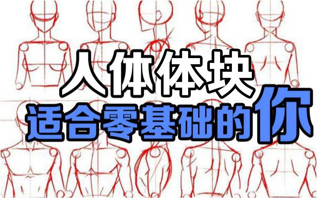 绘画教程/板绘/procreate人体体块透视/体块比例/人体练习/人体速写